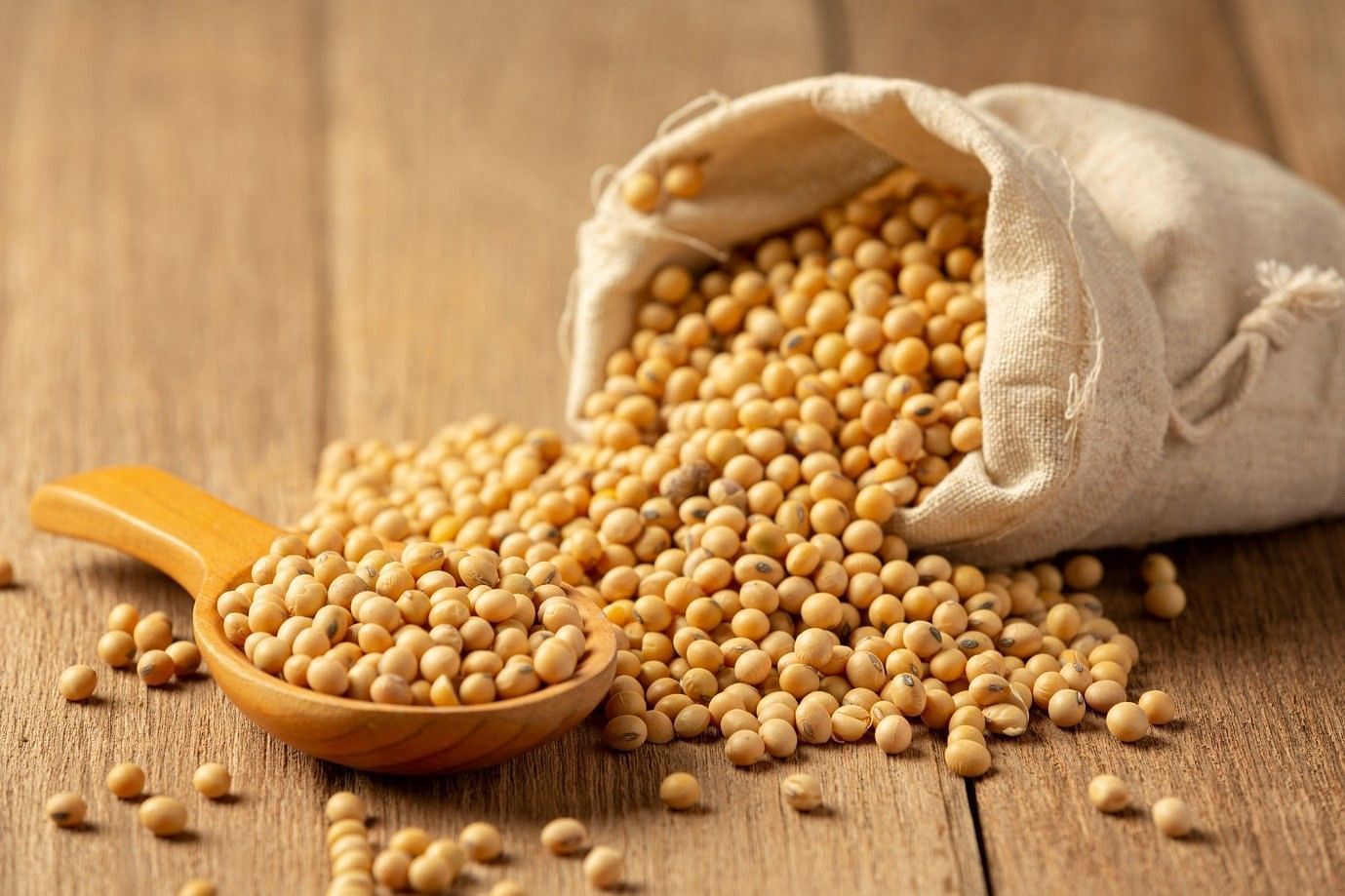 Sources of lecithin (Image by Jcomp on Freepik)